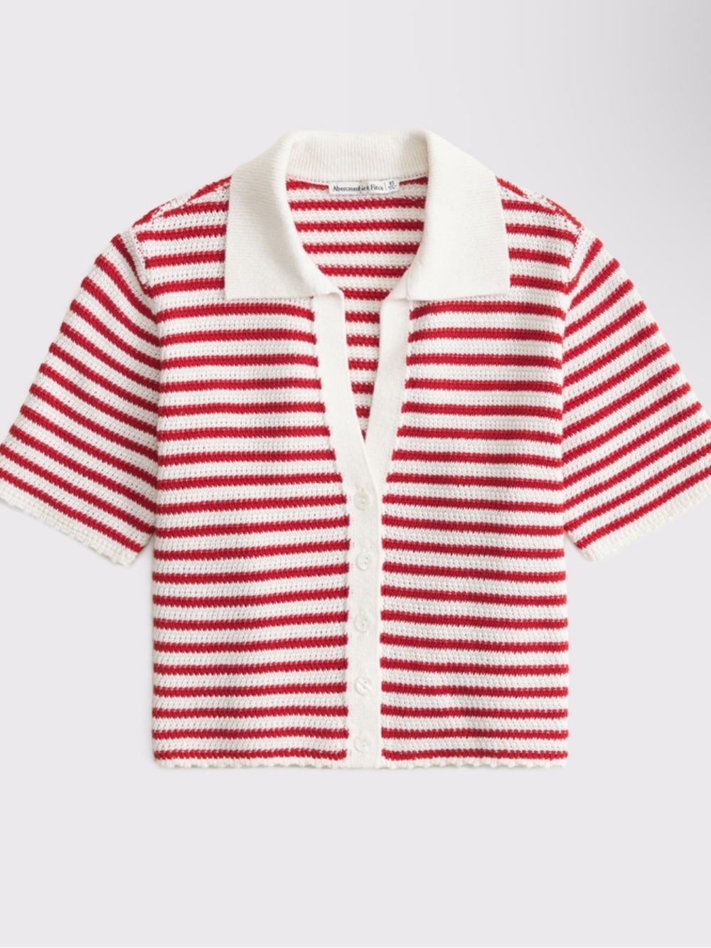 A&F Crochet-Striped  Polo
